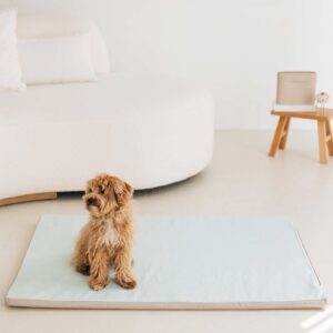 EnrollaDog cama para perros color verde