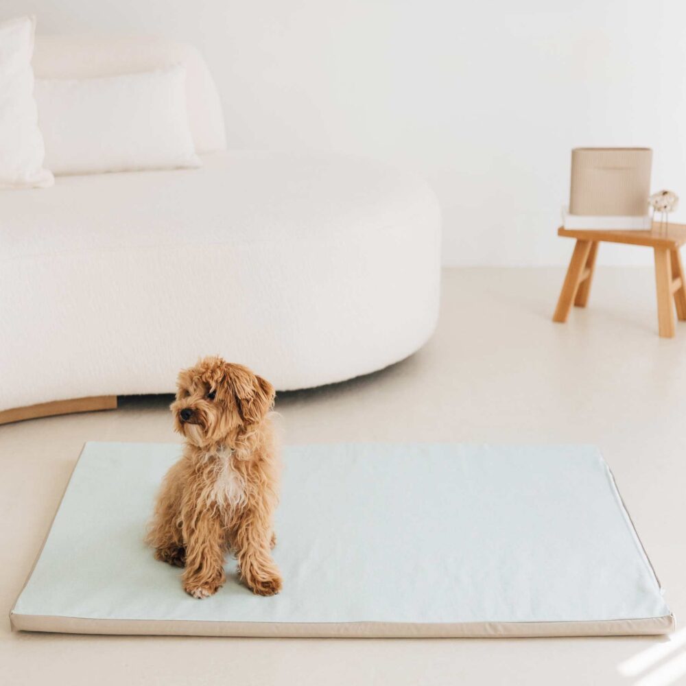 EnrollaDog cama para perros color verde