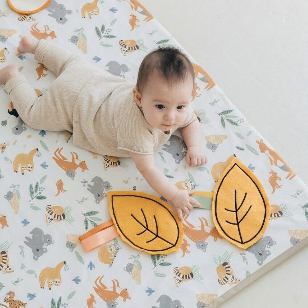 canguros sensorial detalle