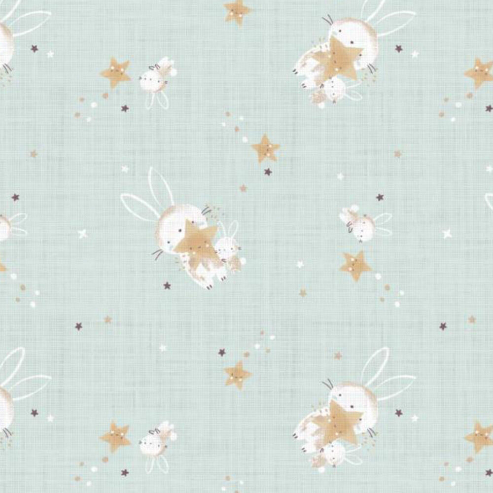 clean rabbit