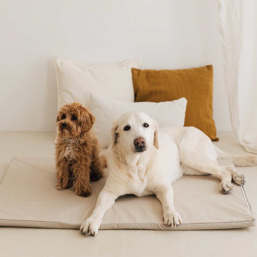 EnrollaDog cama para perros color beige