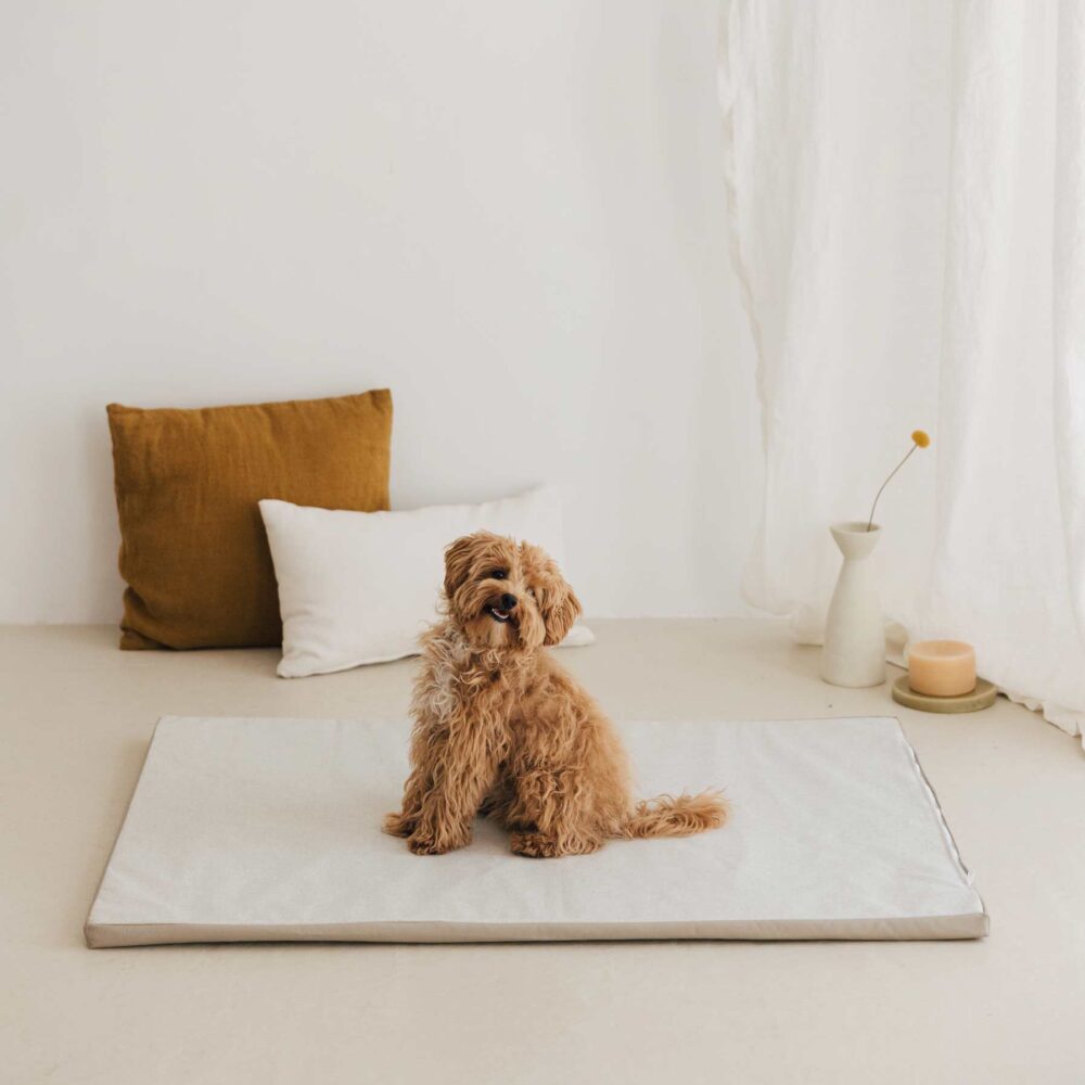 EnrollaDog cama para perros color gris